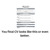 Entry-level (CV Writing Service)